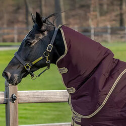 Horseware Amigo Hero Ripstop Hood - Fig/Navy/Tan