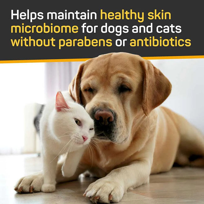 Absorbine Silver Honey Skin & Coat Care - Nourish & Soothe Shampoo with Odor Neutralizer - 16 oz image number null