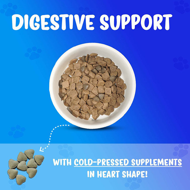 Forza10 Nutraceutic Active Dog Food - Intestinal Support Diet image number null