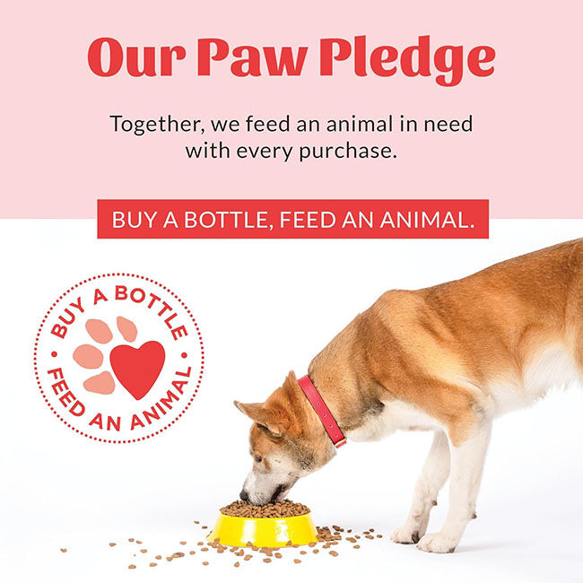 Skout's Honor HydroClear Eye Wash for Dogs - 4 oz image number null