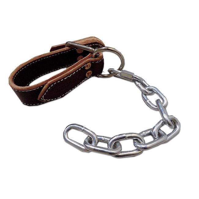 Professional's Choice Al Dunning Kicking Chain  image number null