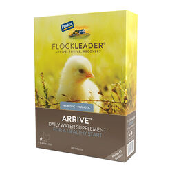 FlockLeader Arrive - Daily Probiotic + Prebiotic Water Supplement for Young Chickens - 8 oz