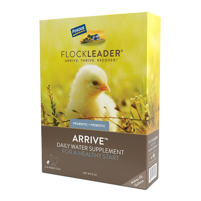FlockLeader Arrive - Daily Probiotic + Prebiotic Water Supplement for Young Chickens - 8 oz image number null