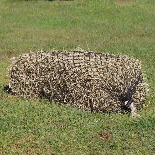 Hay Chix 2-Strand Small Bale Net image number null