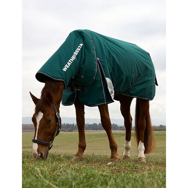 WeatherBeeta ComFiTec Plus Dynamic Turnout Detach-A-Neck (360 g) - Forest Green/Navy image number null