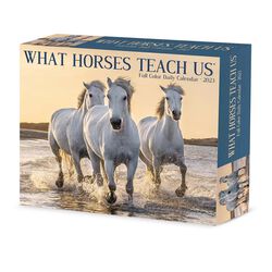 Willow Creek Press 2023 Box Calendar - What Horses Teach Us