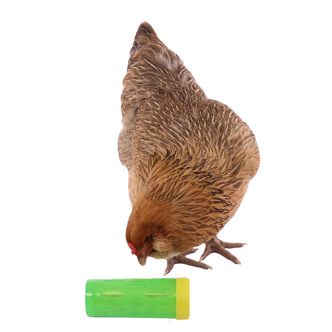 Ware Pet Products Chicken Treat Roller image number null