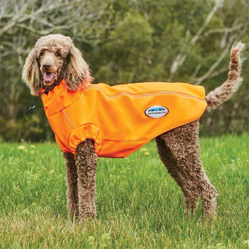 Weatherbeeta dog hotsell raincoat