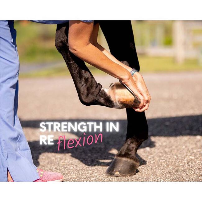 Equine Elixirs Arthroscope image number null