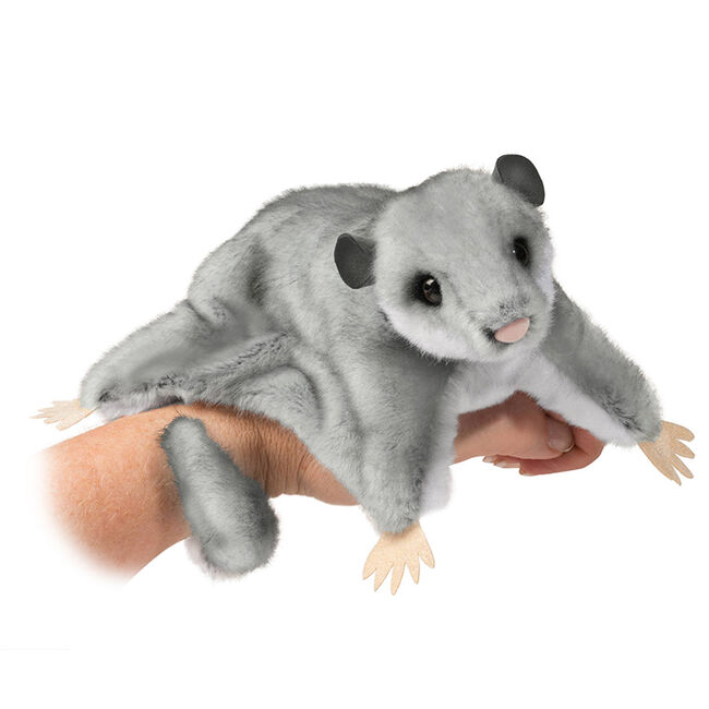 Douglas Squeak Sugar Glider image number null