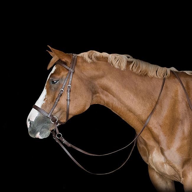 Dr. Cook Bitless Beta Headstall image number null