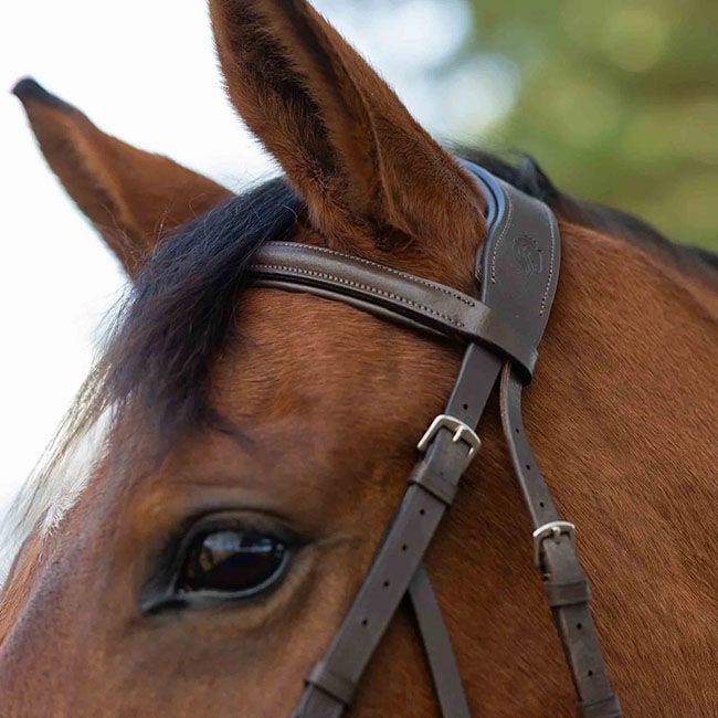 Equinavia Saga Hackamore Bridle with Rubber Reins - Chocolate Brown image number null
