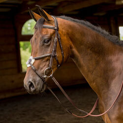 Shires Avignon Woodside Figure 8 Bridle - Havana