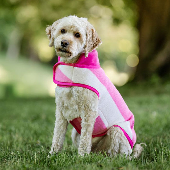 Horseware Newmarket Dog Coat - Witney Pink image number null