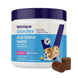 Glandex Anal Gland Supplement for Dogs with Pumpkin - Bacon