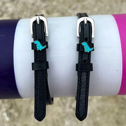 Dreamers & Schemers Spur Straps - Nice Dino