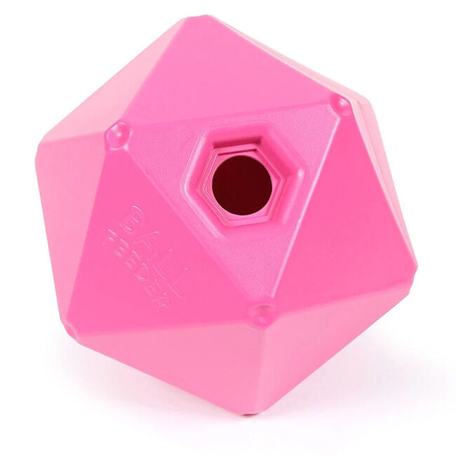 Shires Equestrian Ball Feeder image number null