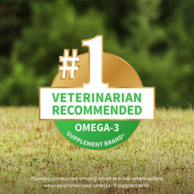 Nutramax Welactin Omega 3 Fish Oil for Dogs, Skin and Coat Health Supplement, Plus Joint, Immune, Kidney, and Brain Support, Premium Omega 3 Fatty Acids, For Dogs of all Sizes - 16 oz image number null
