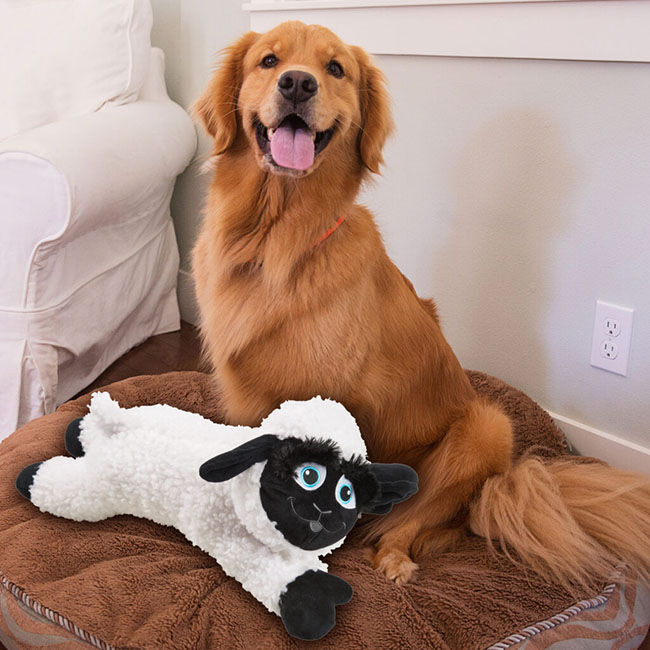 Spot Baa Baa Black Sheep Plush image number null