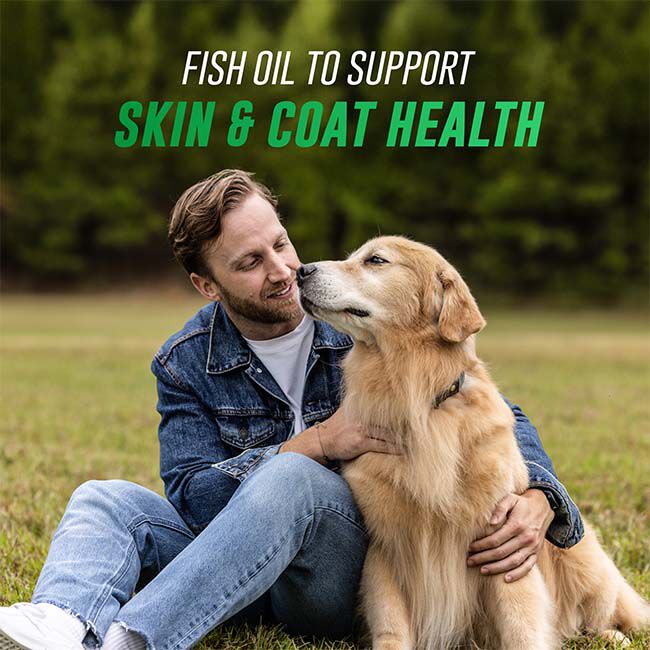 Nutramax Welactin Omega 3 Fish Oil for Dogs, Skin and Coat Health Supplement, Plus Joint, Immune, Kidney, and Brain Support, Premium Omega 3 Fatty Acids, For Dogs of all Sizes - 16 oz image number null