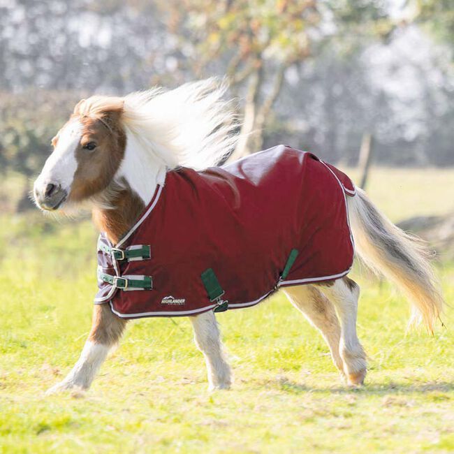 Shires Miniature Highlander (200g) - Maroon image number null