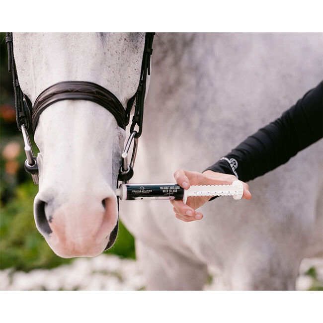 Equine Elixirs Sudden Comfort Fast Acting Calming Paste image number null