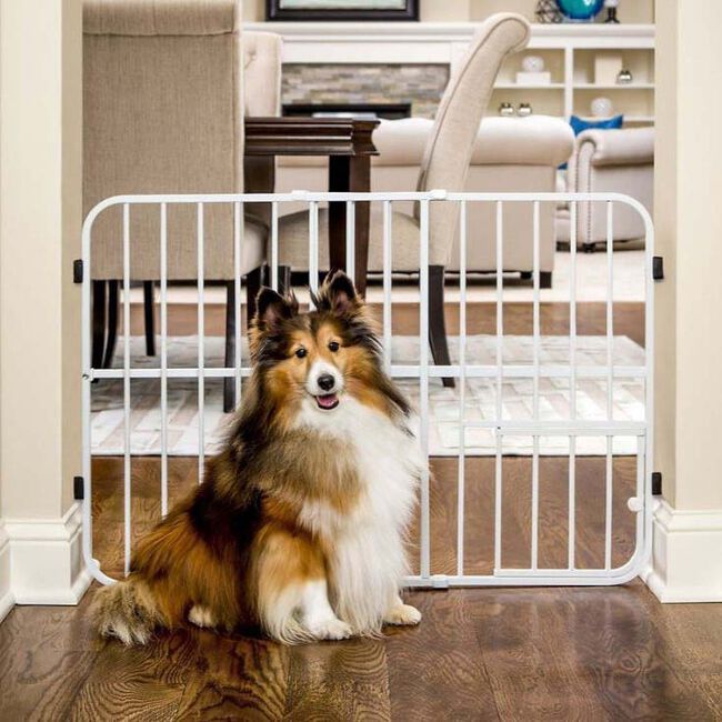Carlson Pet Products Tuffy Expandable Gate with Pet Door image number null