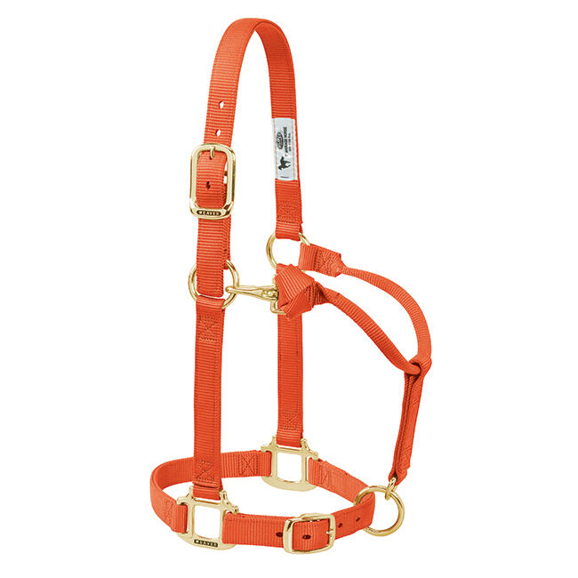 Weaver Equine Original Adjustable Chin and Throat Snap Halter image number null
