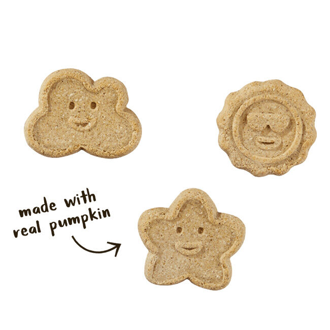 Cloud Star Wag More Bark Less Grain-Free Oven-Baked Biscuits - Pumpkin - 14 oz image number null