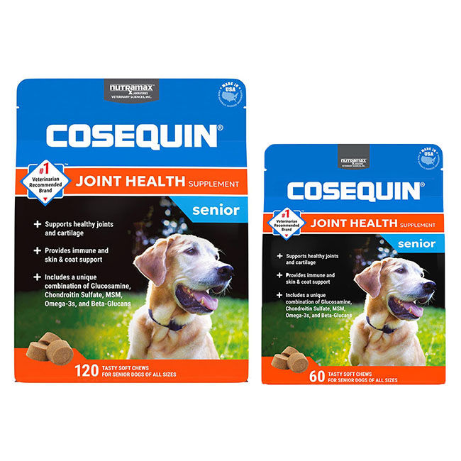 Nutramax Cosequin for Senior Dogs Joint Health Supplement, Contains Glucosamine for Dogs, Plus Chondroitin, MSM, Omega-3s and Beta-Glucan, Supports Joint, Skin and Coat, and Immune Health, Soft Chews image number null