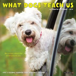 Willow Creek Press 2024 Mini Wall Calendar - What Dogs Teach Us