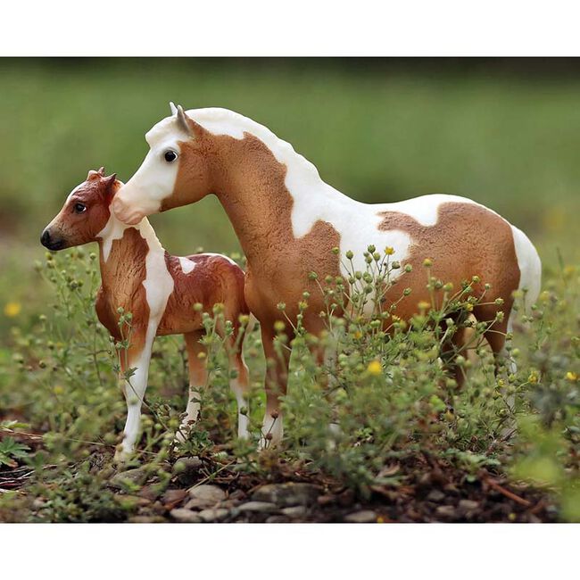 Breyer Misty & Stormy - Models & Book Set image number null