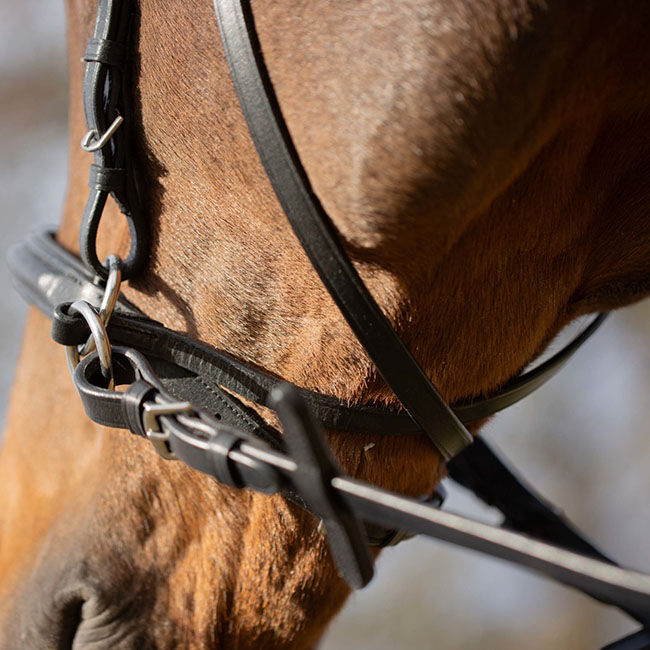 Equinavia Saga Bitless Bridle image number null