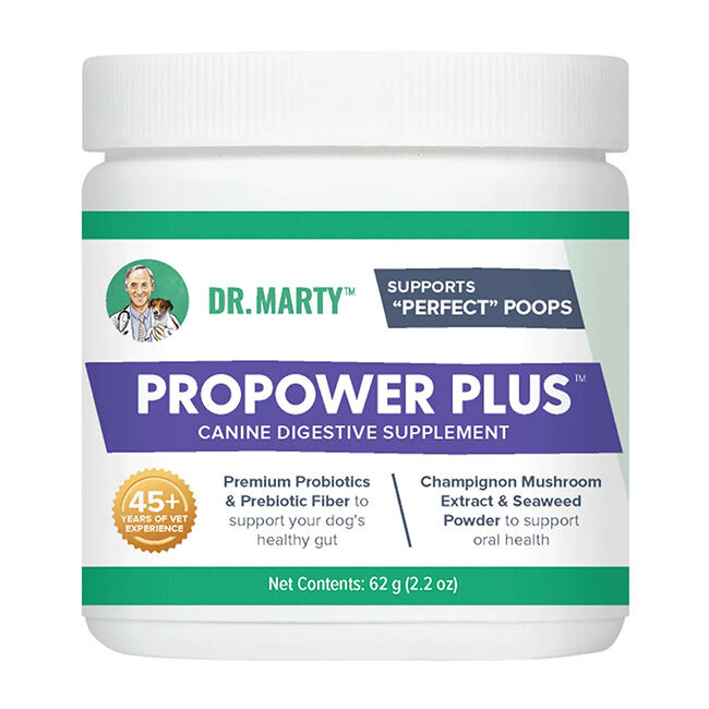 Dr. Marty ProPower Plus Canine Digestive Supplement - 2.2 oz image number null