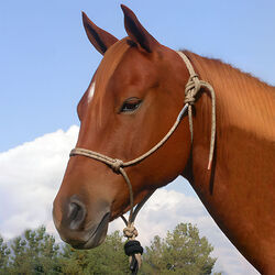 Double Diamond 8mm (#125 Series) Nylon Rope Halter