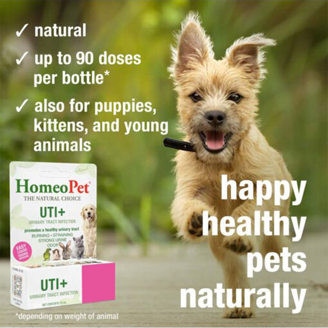 606747-3.jpg image number null