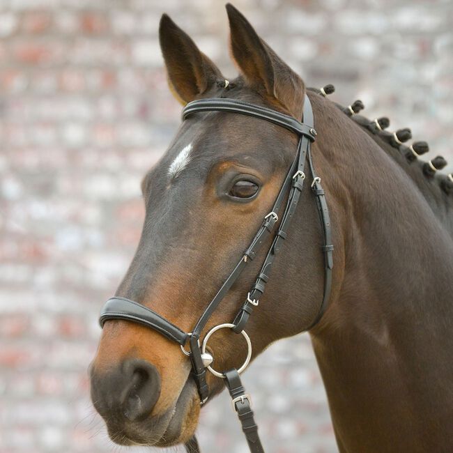 Waldhausen Hannover Star Bridle-Pony image number null