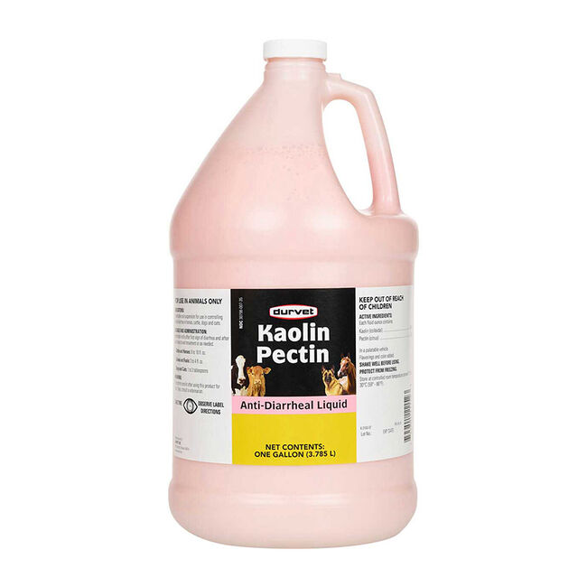 Durvet Kaolin-Pectin image number null