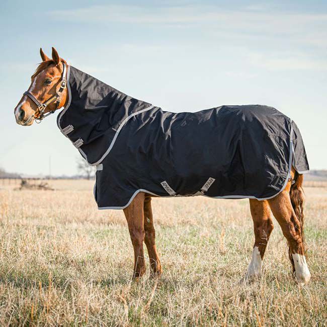 Horseware Amigo Stock Horse Plus Turnout (0g Light) - Black/Silver - Closeout image number null