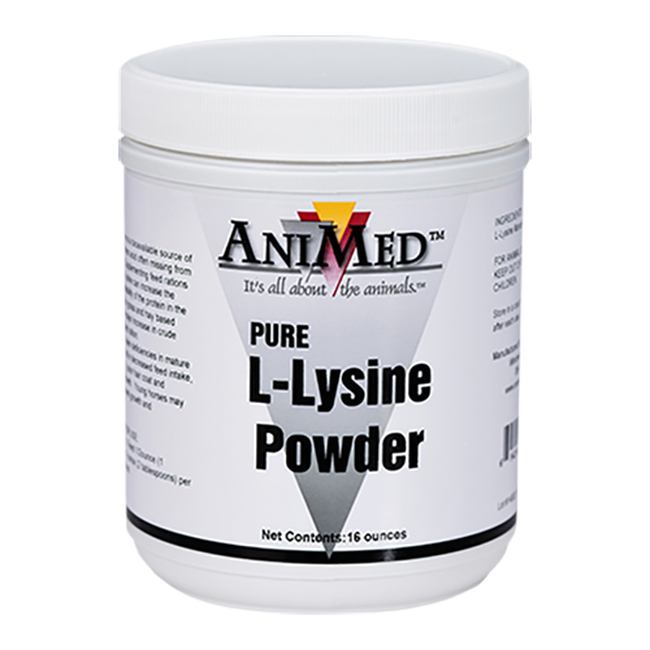 AniMed L-Lysine Powder image number null