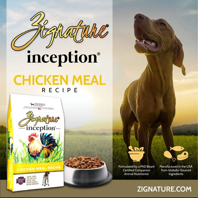 Zignature Inception Dog Food - Chicken Meal Recipe image number null