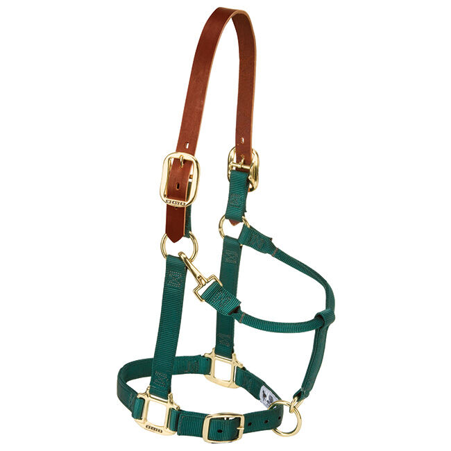 Weaver Breakaway Nylon Halter - Hunter Green image number null