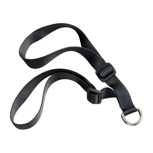 Freejump Y Saddle Strap image number null