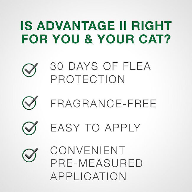 Elanco Advantage II Cat Flea and Tick Topical The Cheshire Horse