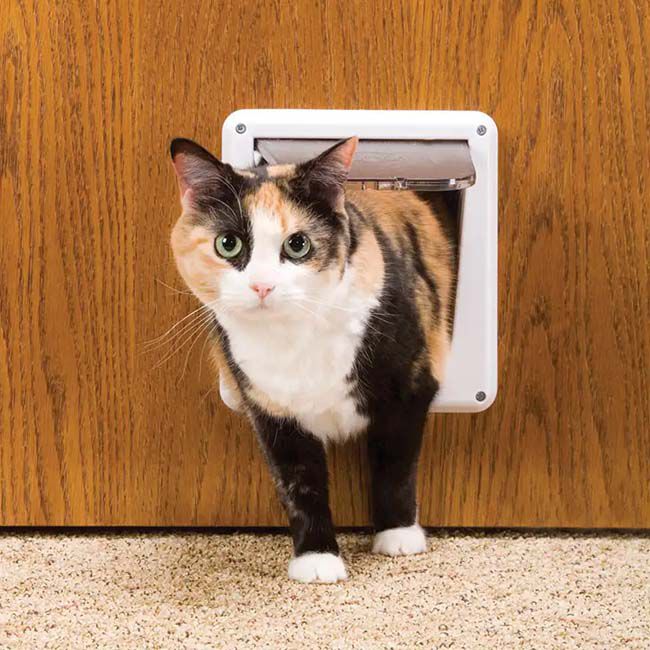 PetSafe 4-Way Interior Locking Cat Door - Closeout image number null