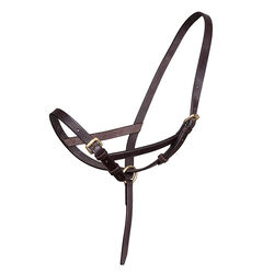 Shires Blenheim Leather Foal Slip Halter