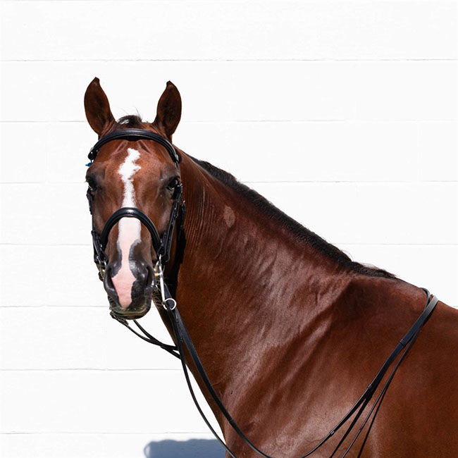 Equinavia Saga Double Bridle with Reins image number null