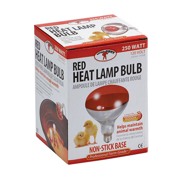 Miller 250 Watt Red Bulb for Brooder Lamp image number null