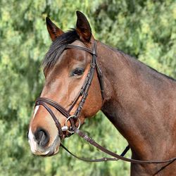 Bobby's English Tack Silver Spur Monocrown Padded Dressage Bridle with Flash