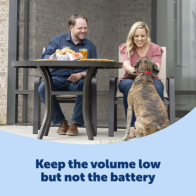 Petsafe basic bark control top